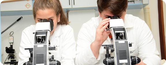 Dois estudantes de jaleco branco observando em microscópios